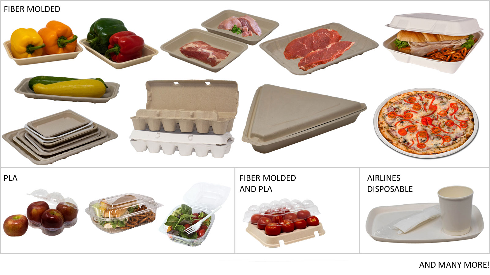 Food Prep and Storage Bulk - TrueChoicePack