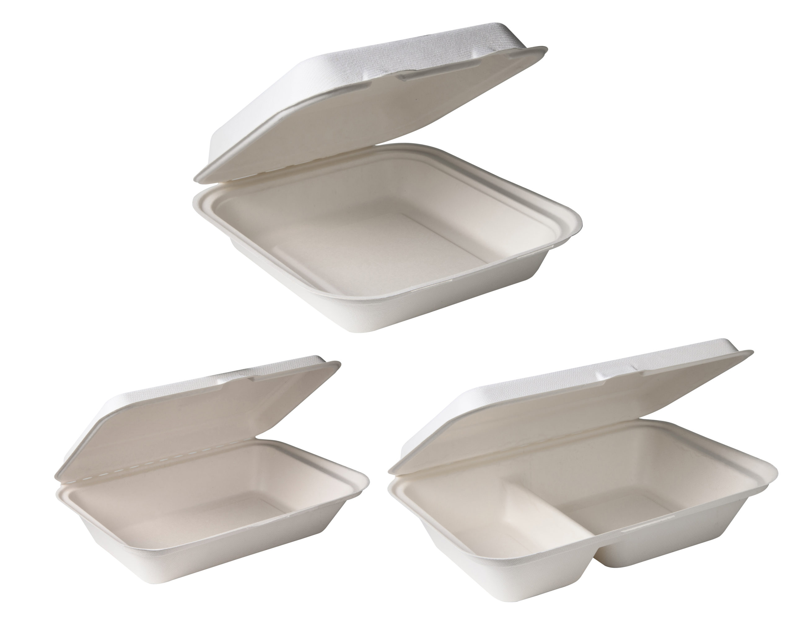 Bagasse Clamshell Takeout Containers, Biodegradable Eco Friendly